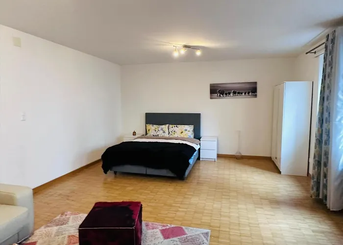 Apt Near Basel Centre And Airport